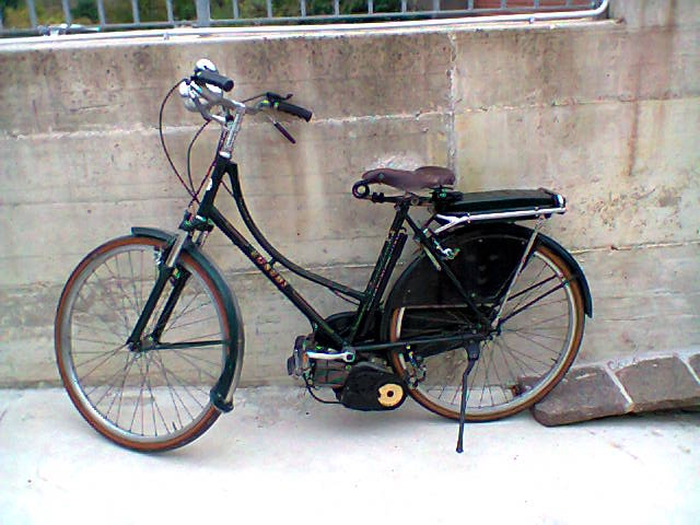 Bicicletta Eusebi 